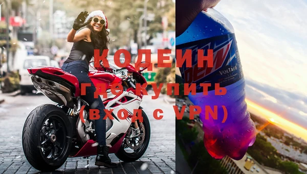 индика Шадринск