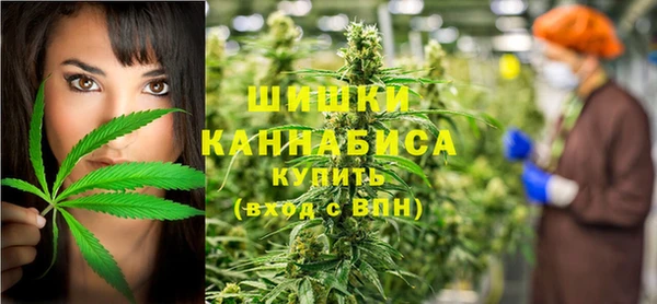 ПСИЛОЦИБИНОВЫЕ ГРИБЫ Алексеевка