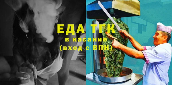 индика Шадринск