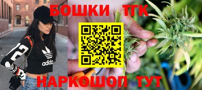 тгк Обь