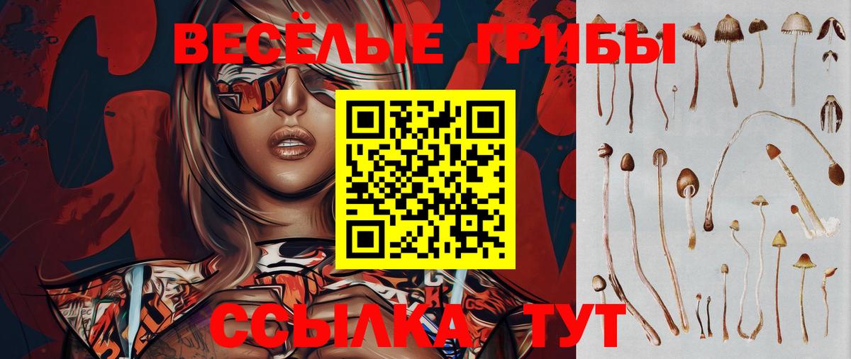 Галлюциногенные грибы Psilocybine cubensis  Вход с VPN  Орск 